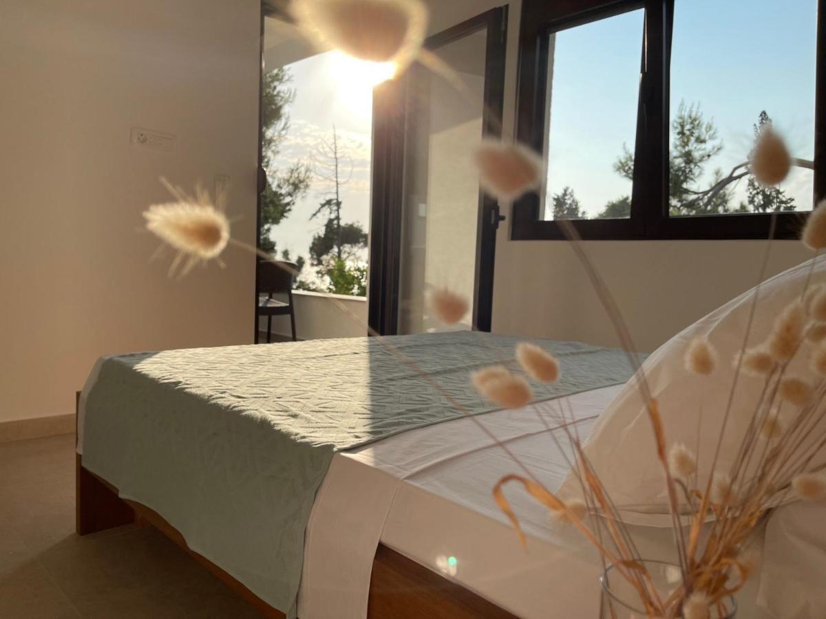 Zia Apartments Bar Dış mekan fotoğraf