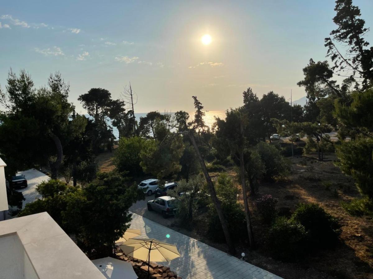 Zia Apartments Bar Dış mekan fotoğraf