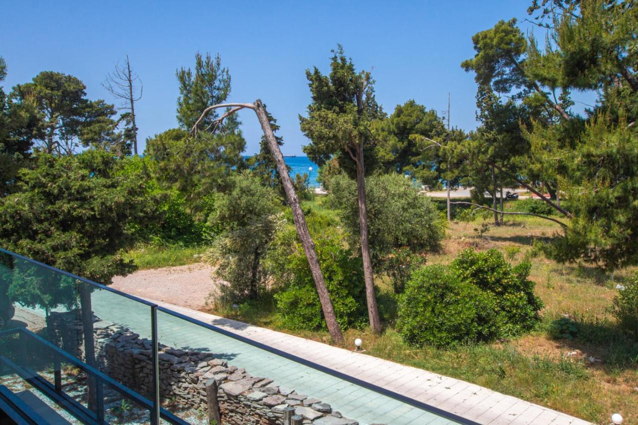 Zia Apartments Bar Dış mekan fotoğraf