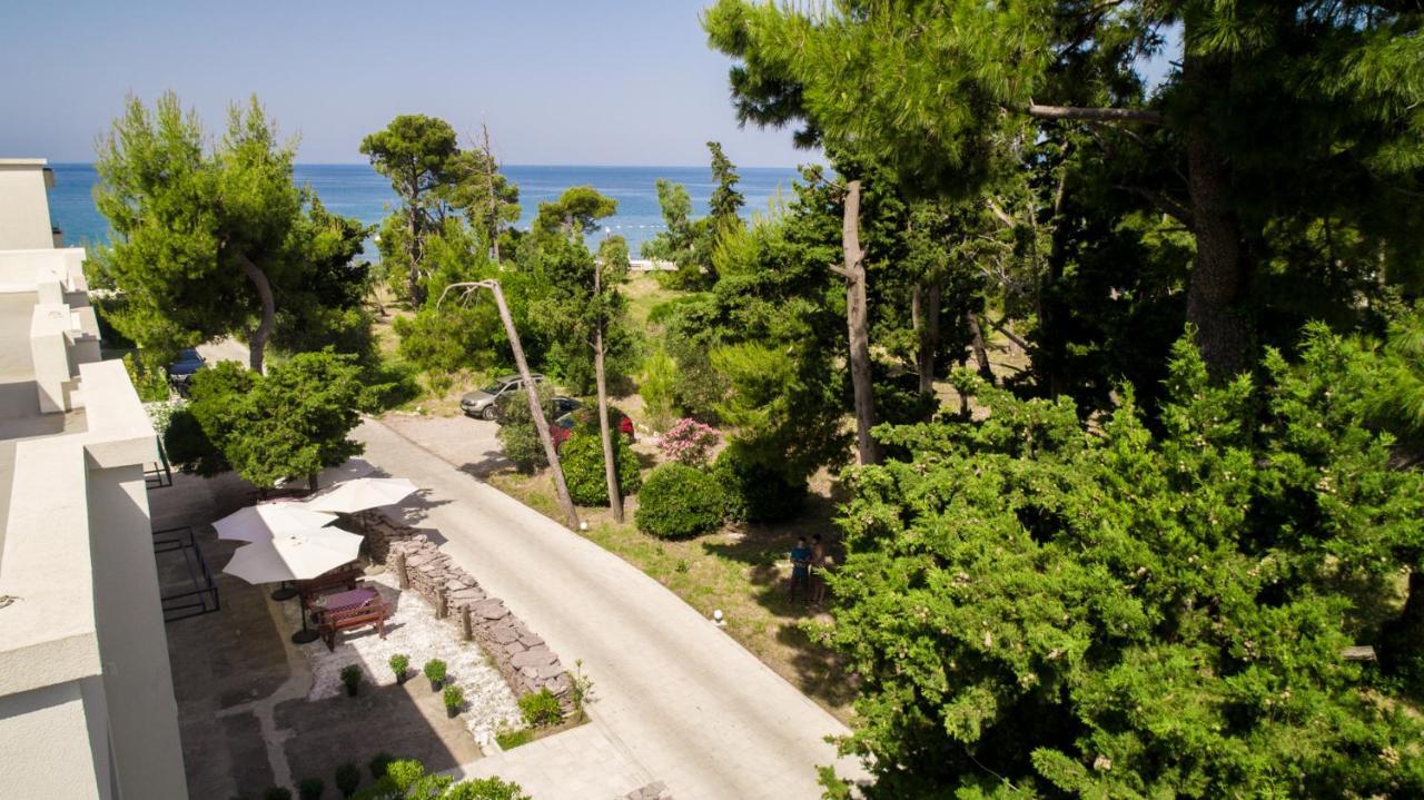 Zia Apartments Bar Dış mekan fotoğraf